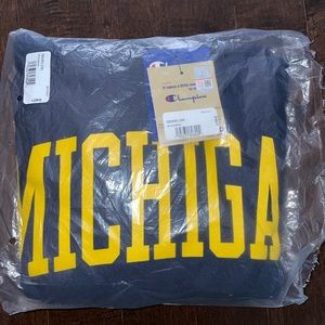 Large Michigan Hoodie